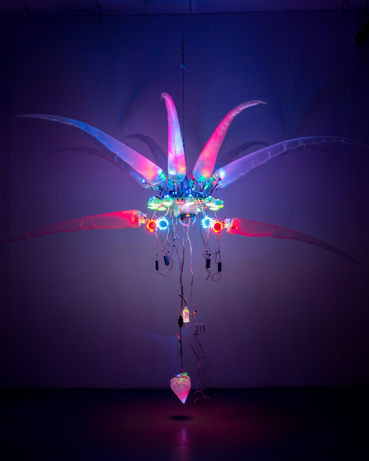 Ronald Feldman Gallery (en-US) | Shih Chieh Huang