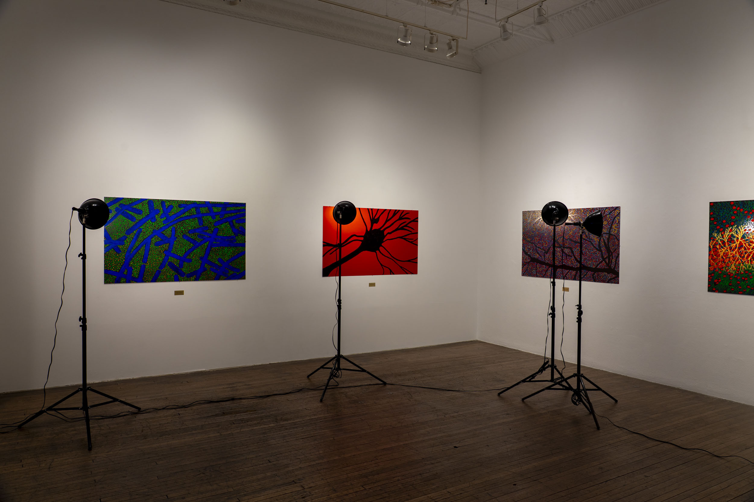 Schlossberg Unseen Layers Installation View 02