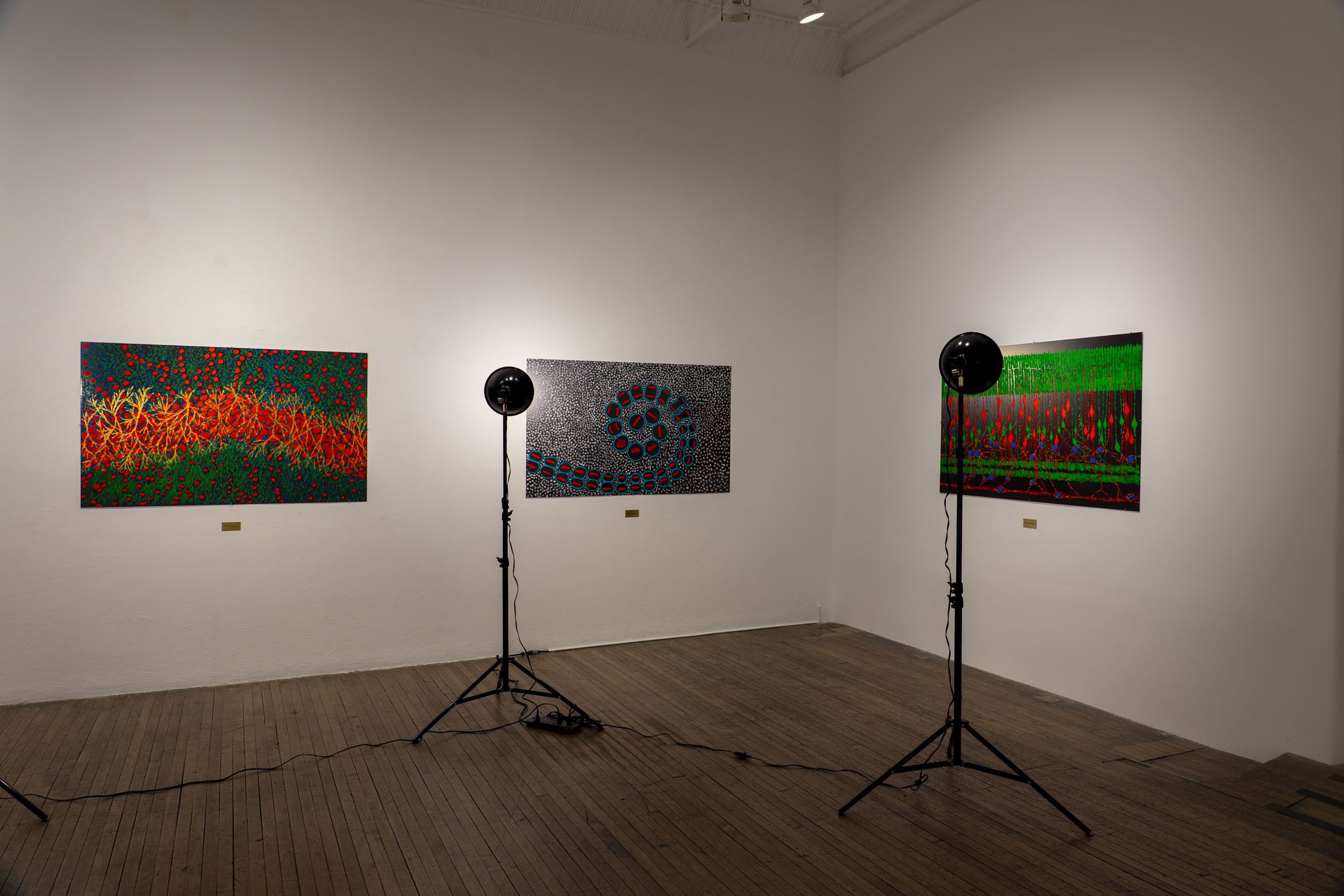 Schlossberg Unseen Layers Installation View 04