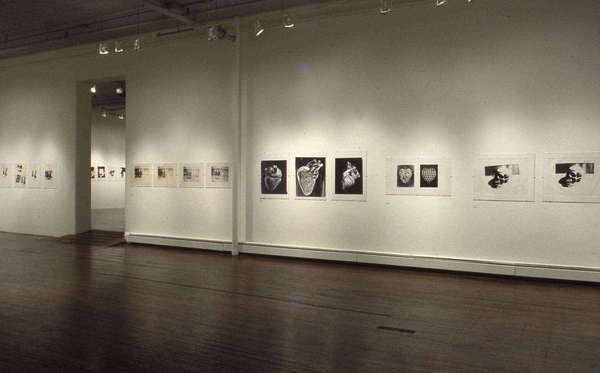Andy Warhol
Andy Warhol: Black & White Unique Screenprints
RFFA November 21 - December 19, 1998
Installation View of South Gallery
Photo: Zindman/ Fremon
Photo Courtesy Ronald Feldman Gallery, New York