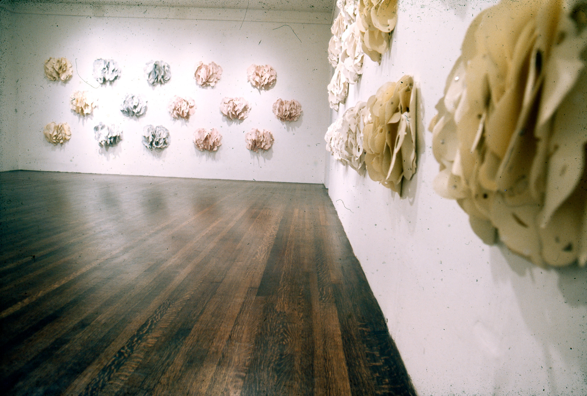 Ronald Feldman Gallery en US 025 5 Hannah Wilke September 