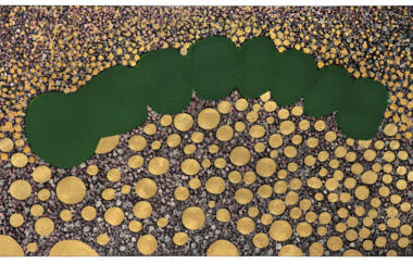 Schlossberg Portrait of a Stem Cell 2025