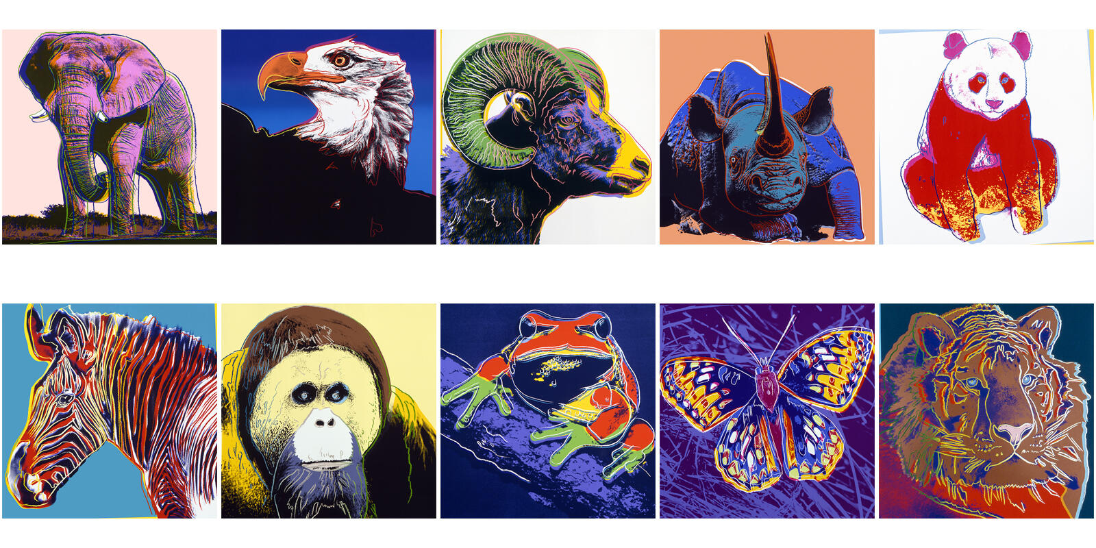 Endangered species hero image 1