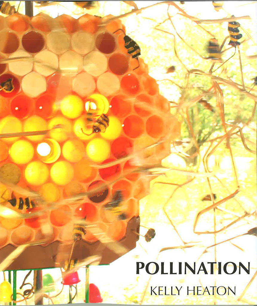 Heaton Pollination 2015